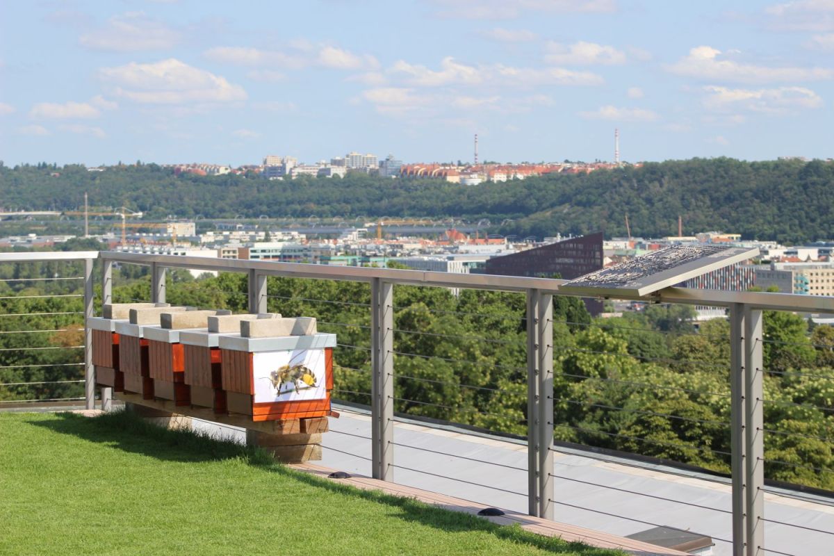 Панорамная терраса с садом на крыше Национального музея земледелия