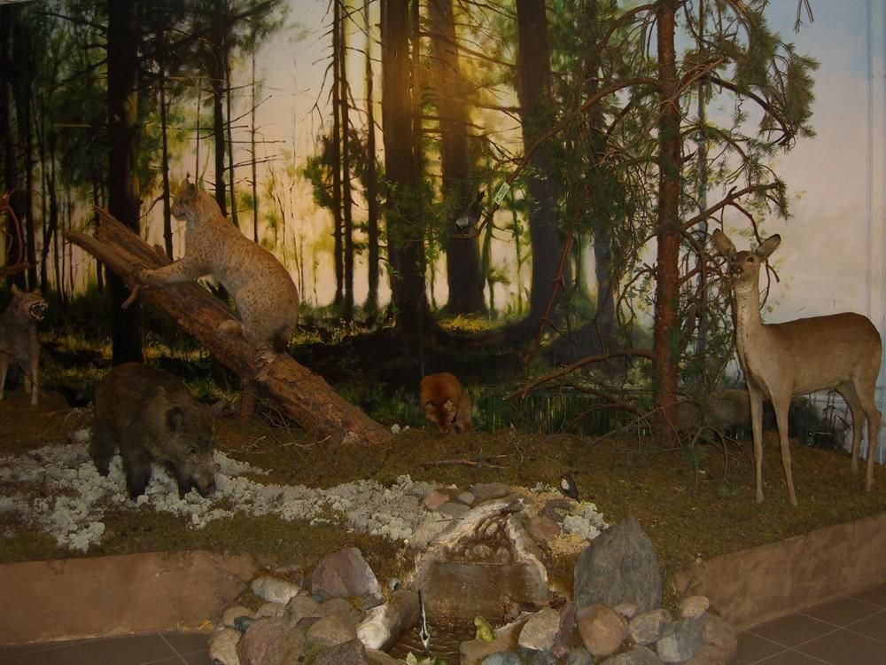 Валгаский музей