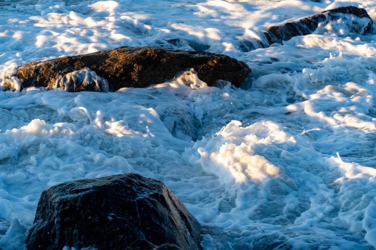 Приморский парк (Батумский бульвар)