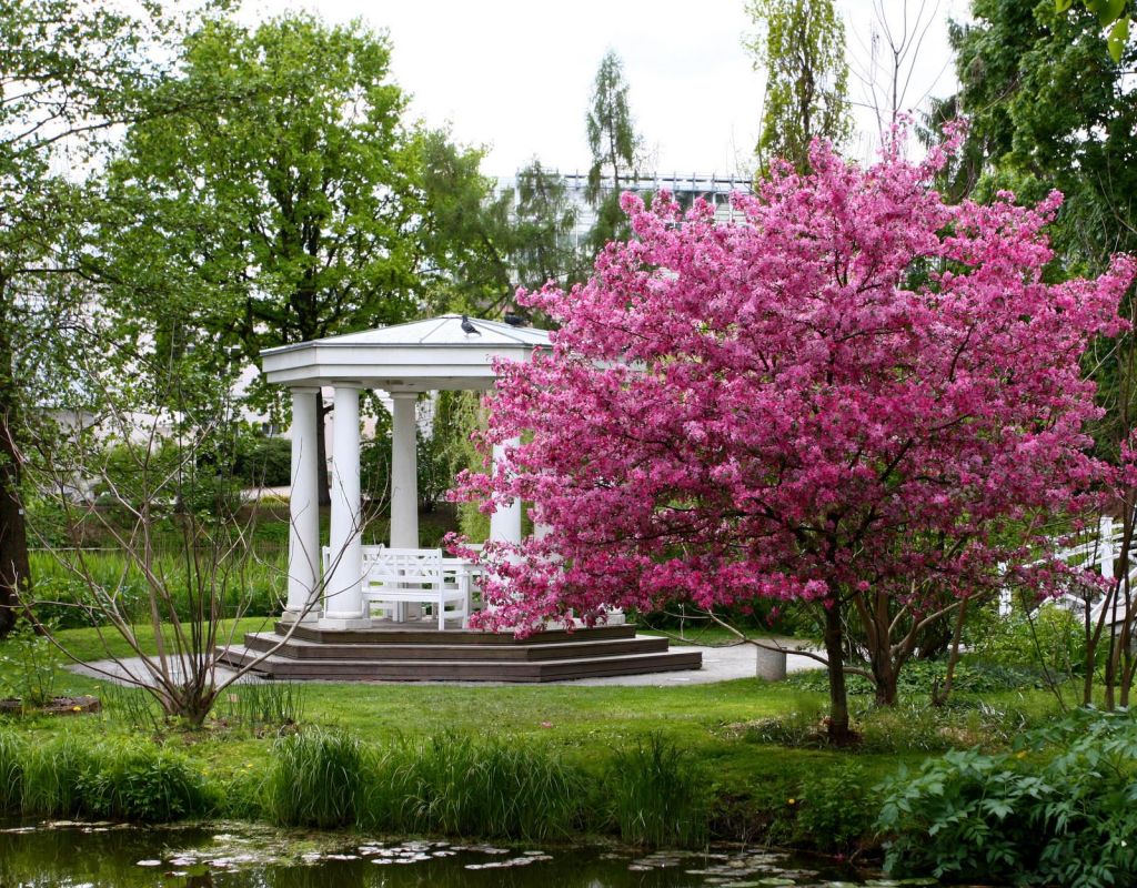 Ботанический сад Тартуского университета