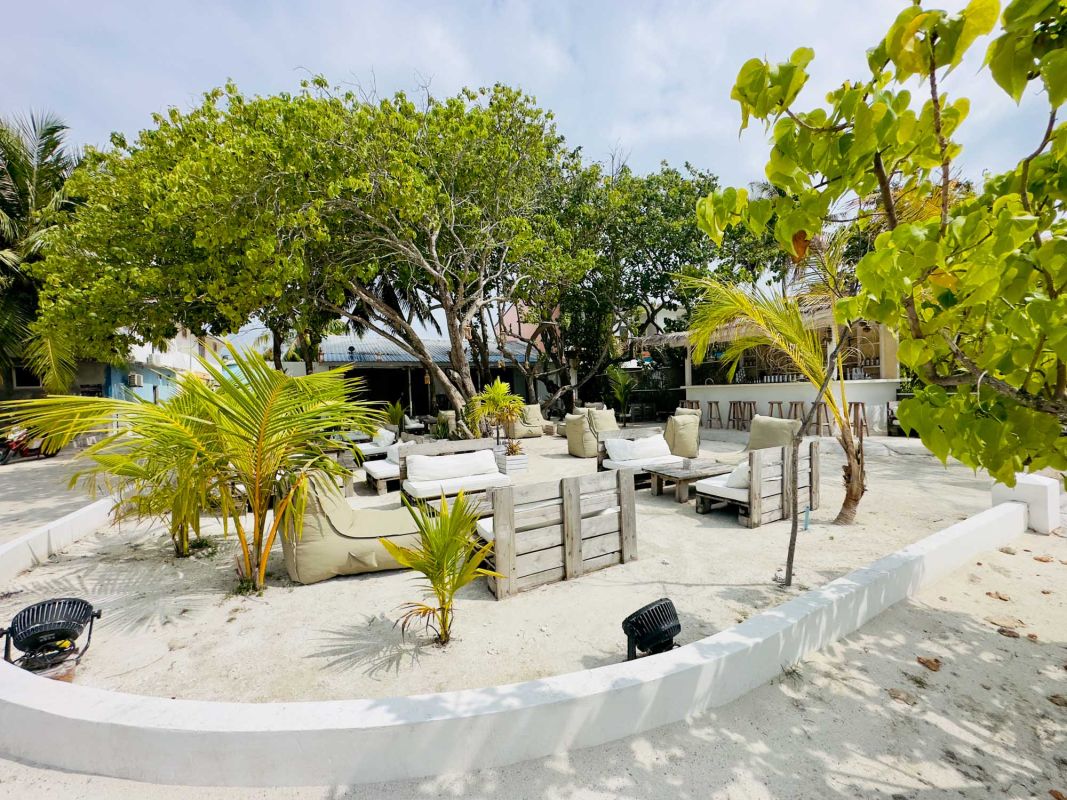 Moonlight - Food . Drinks . Shisha