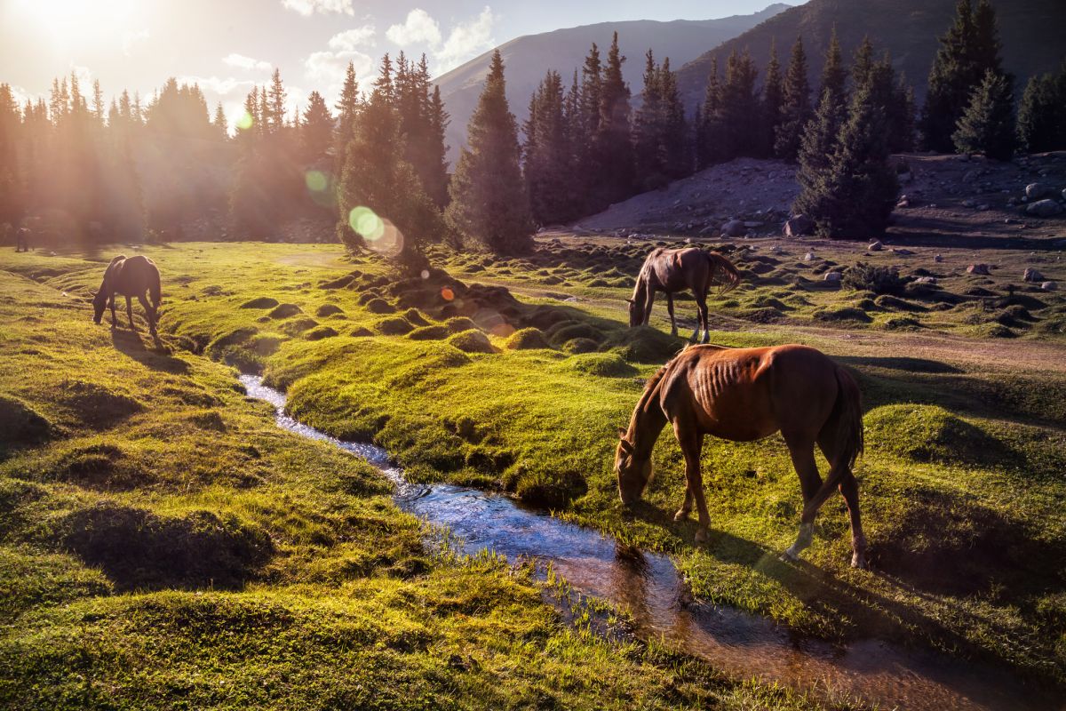 Ущелье Иссык-Ата