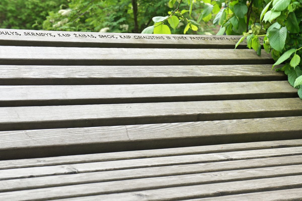 Сад Идей (Idėjų Sodas)