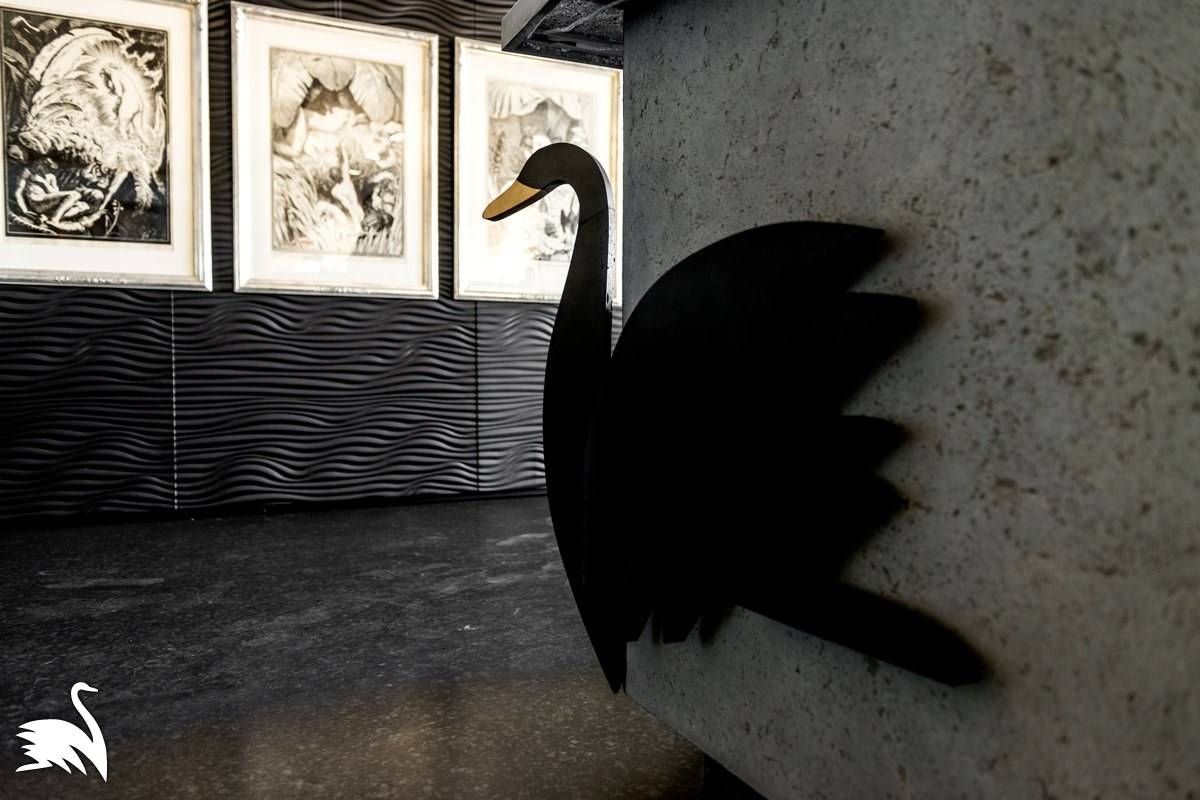 «Черный лебедь»