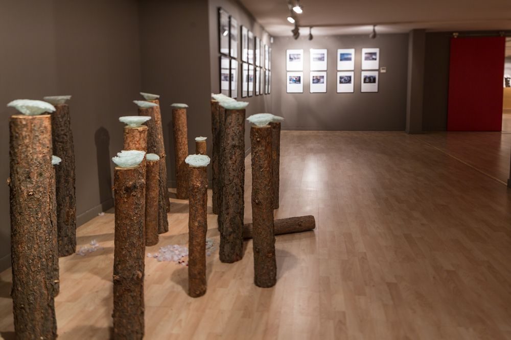 Центр искусств Эскальдес-Энгордани