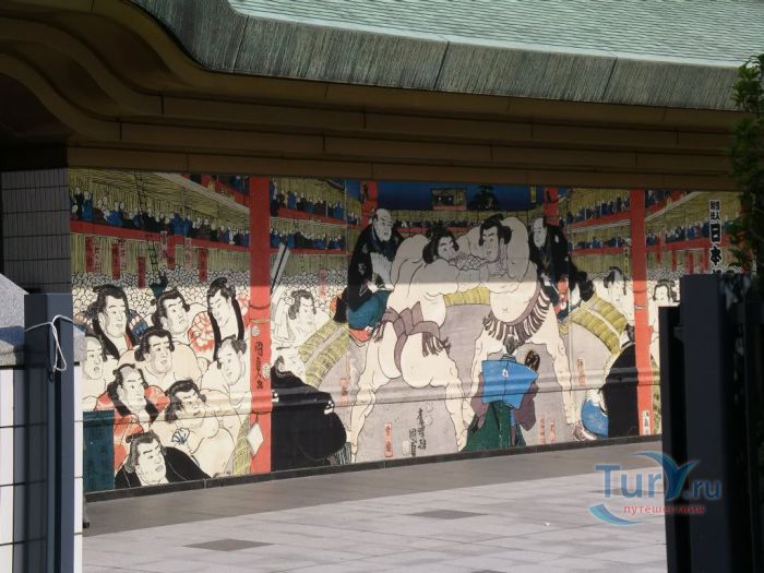 Район Рёгоку