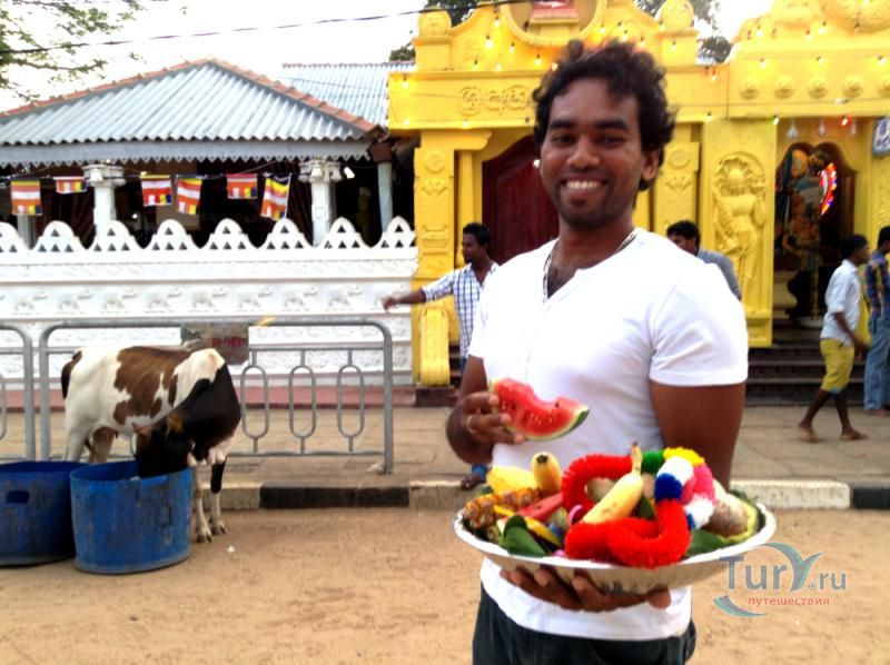 Храм Рухуну Маха Катарагама Девалая