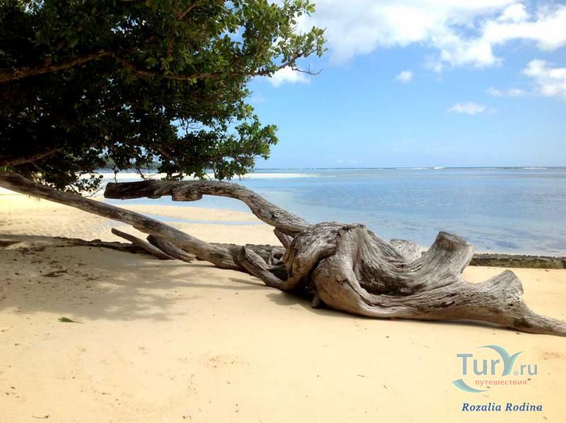 Пляж Анс-о-Пен и бухта Тартл