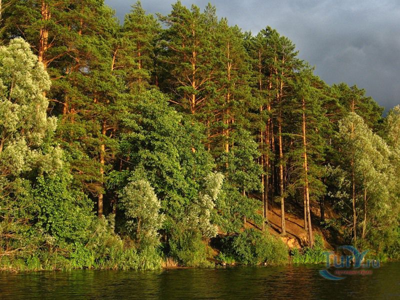 Национальный парк Марий Чодра