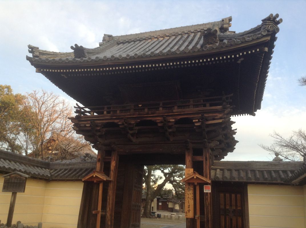 Фудзиидера