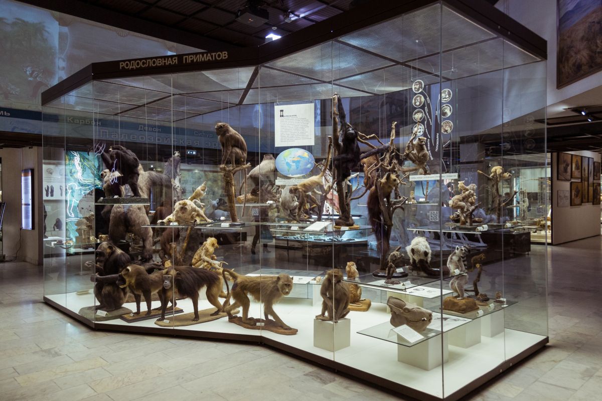 Государственный Дарвиновский музей