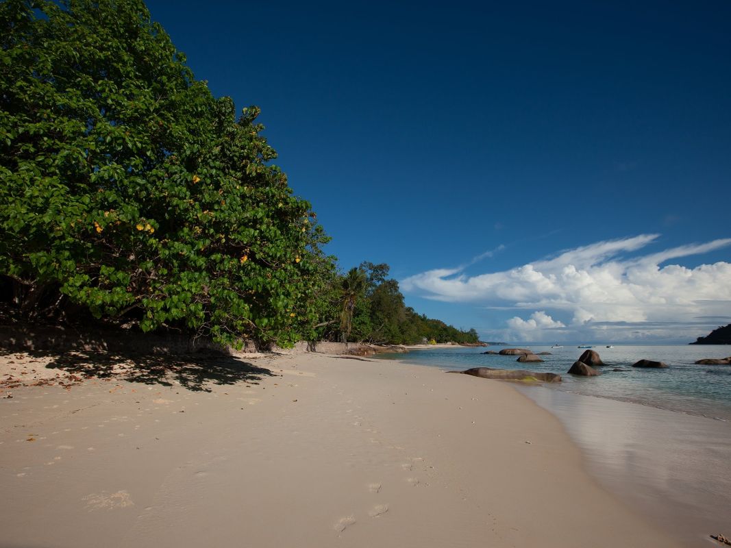 Пляж Анс Такамака, Праслин