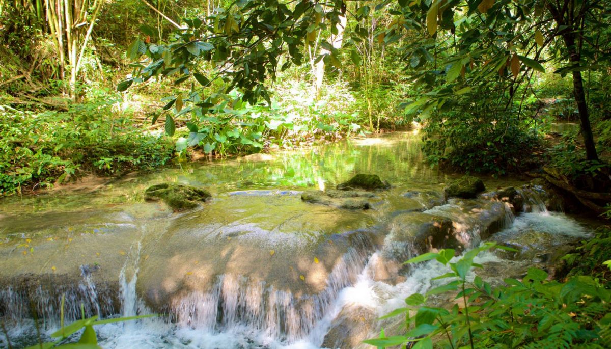 Водопады Мэйфилд и Минеральные источники