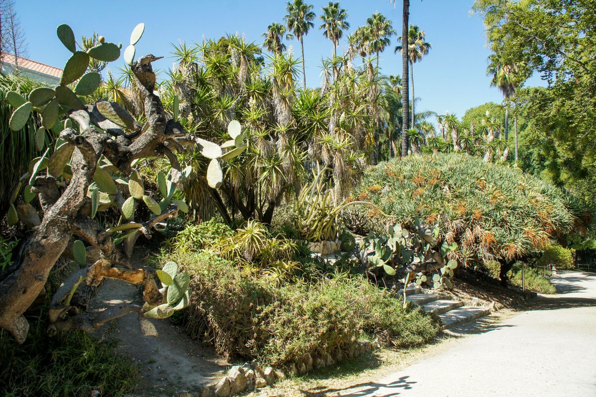 Ботанический сад Лиссабона