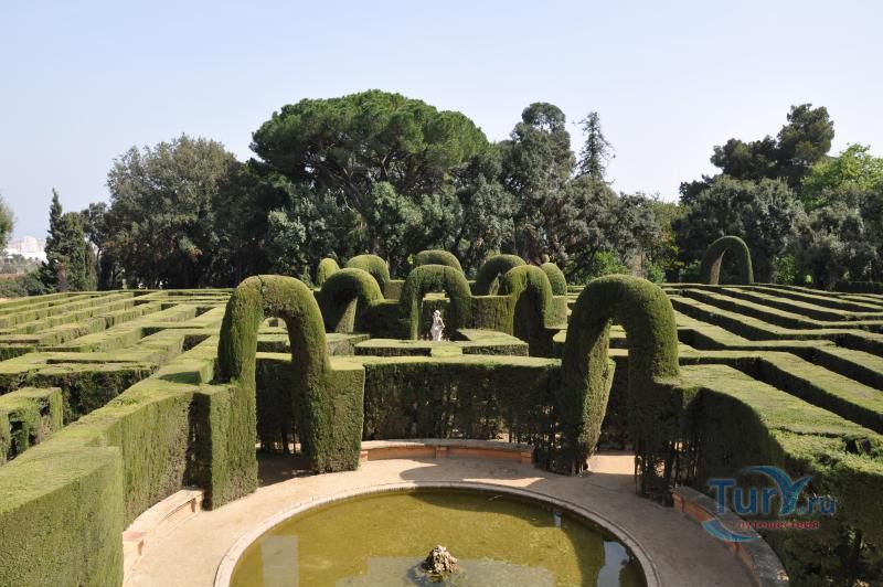 Лабиринт Орта