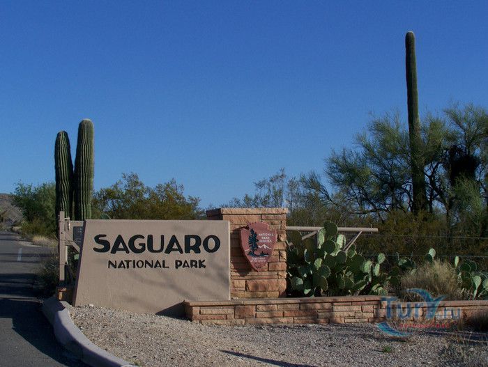 Национальный парк Сагуаро