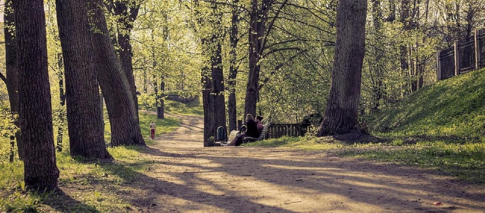 Парк Тоомемяги