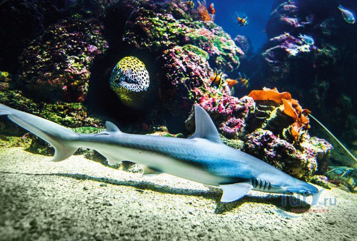 Музей Воды Аквариа