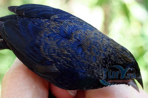 Ферма и Природный Заповедник Приключения  (Adventure Farm & Nature Reserve)