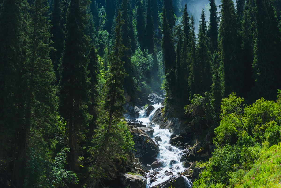 Ущелье Барскоон