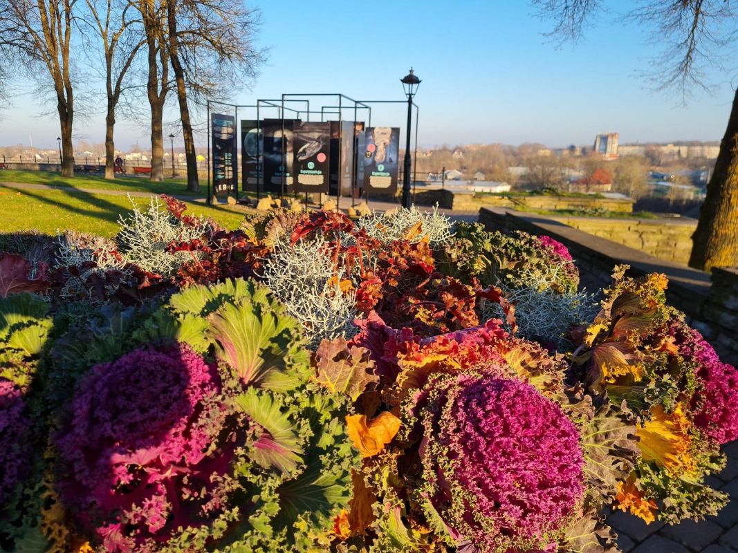 Речной променад в Нарве