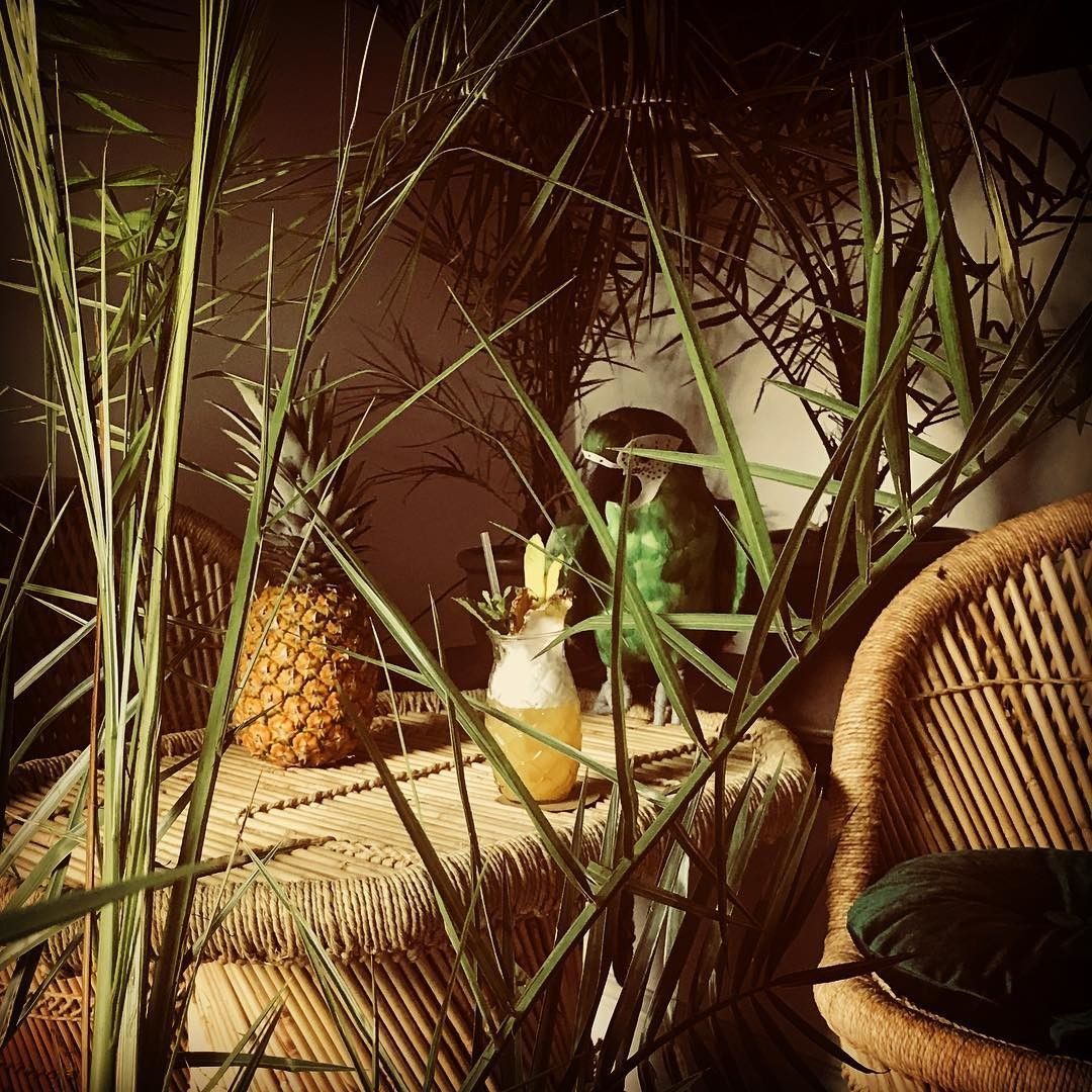 Мини-бар Parrot