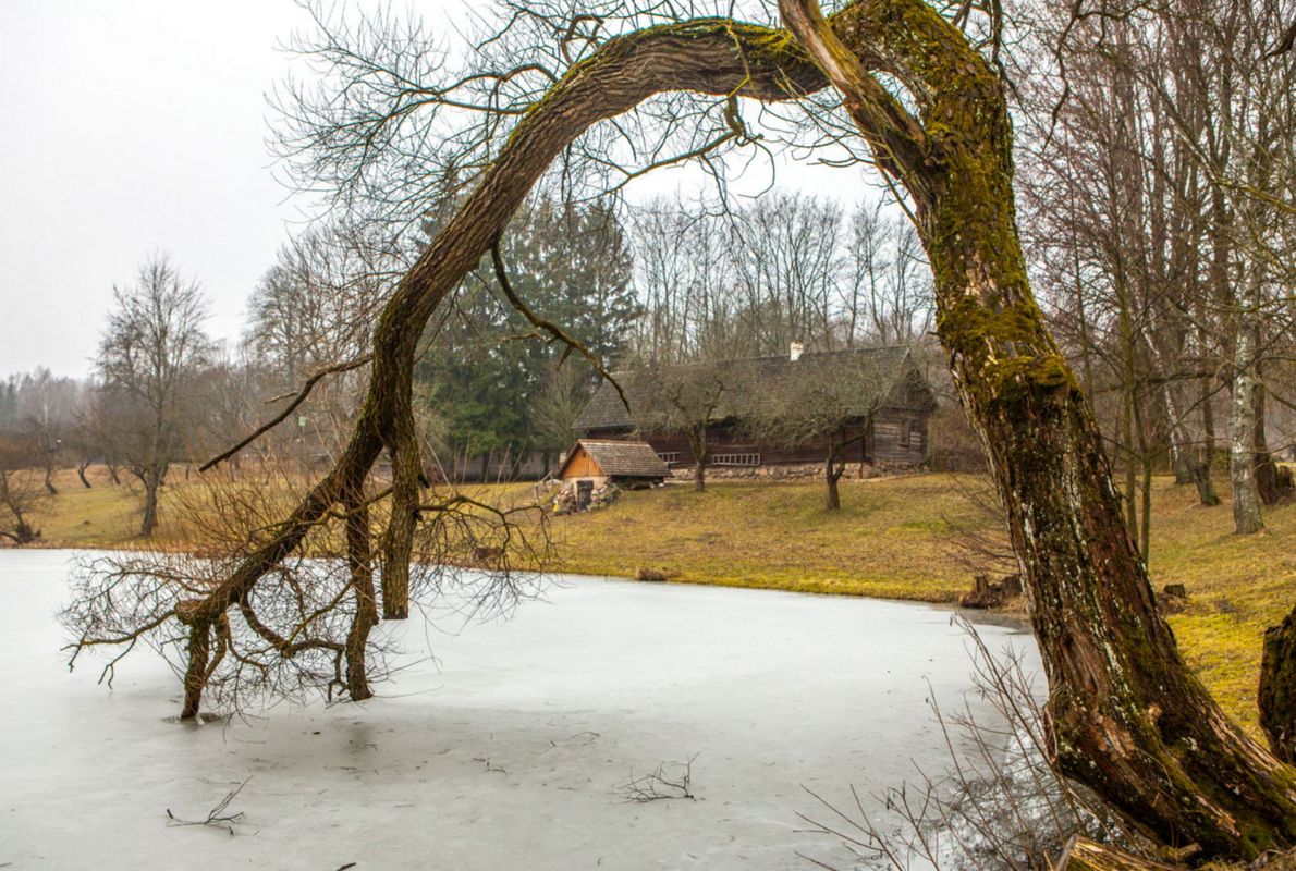 Вязынка (филиал государственного литературного музея Янки Купалы)
