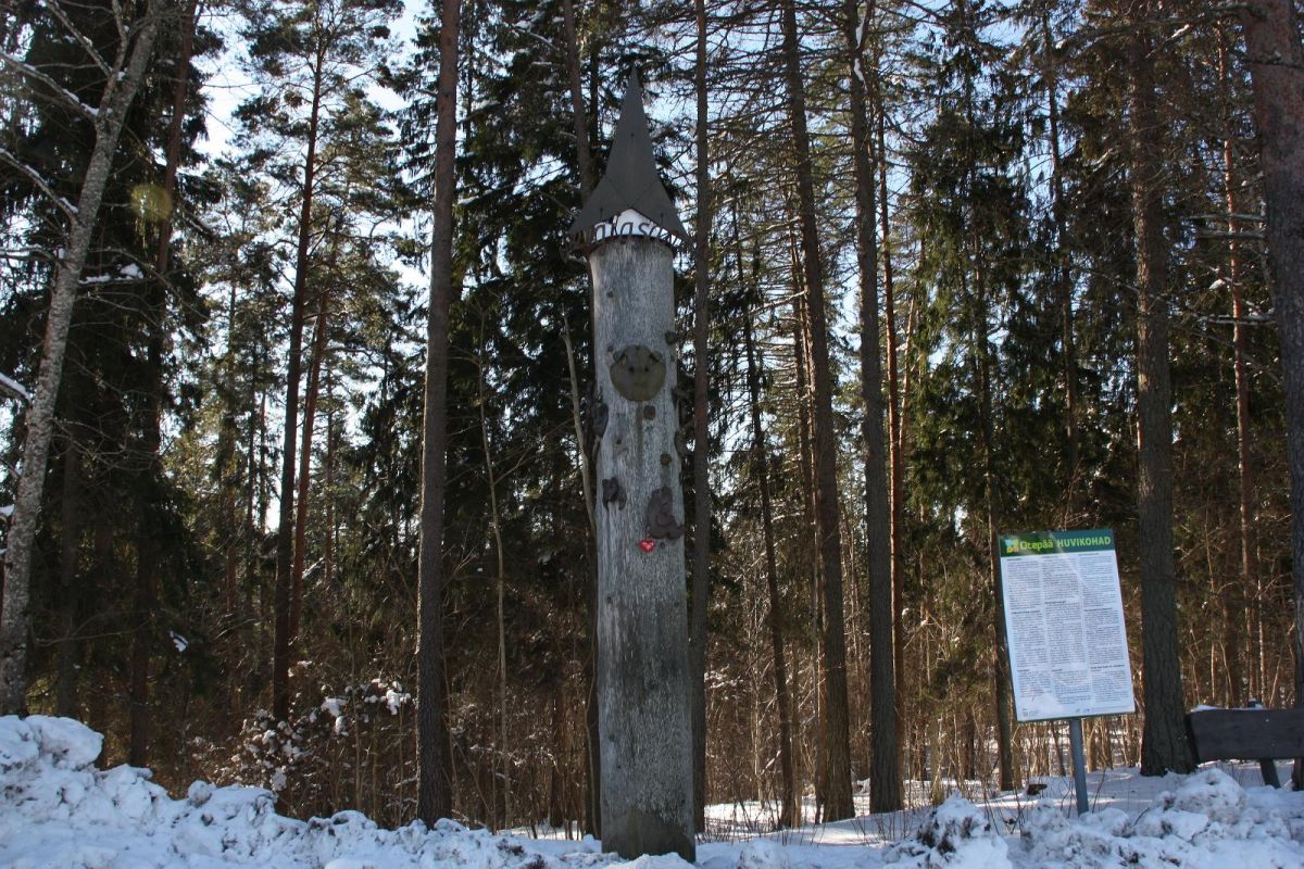 Энергетический столб в Отепяэ