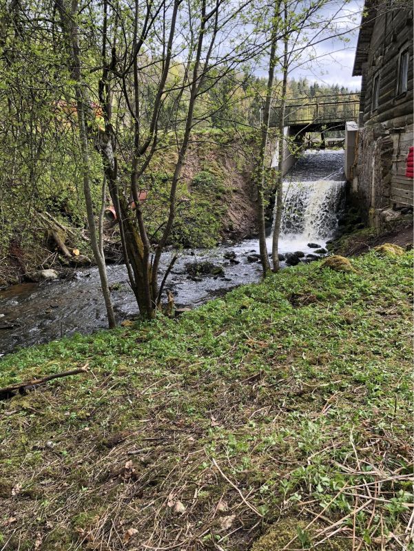 Мельница Кюти