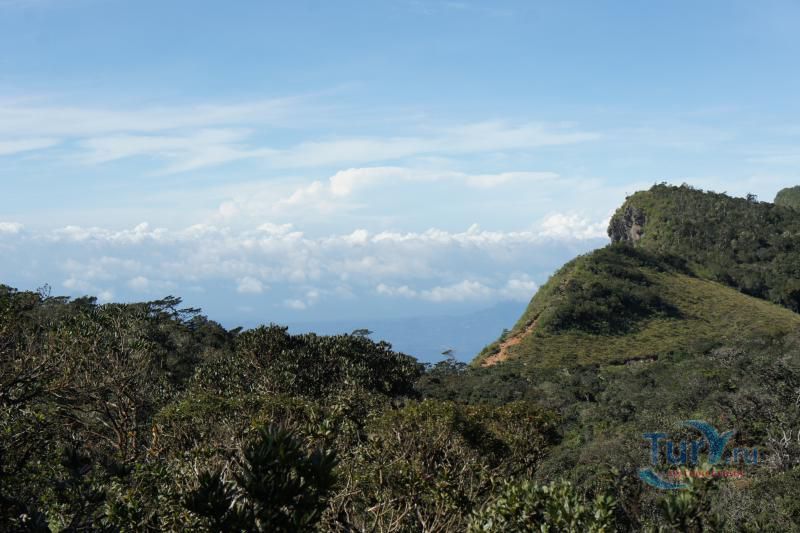 Национальный парк Хортон Плейнс (Плато Хортон)