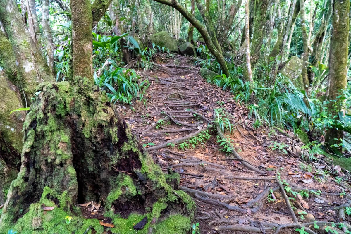 Морн Блан Трейл