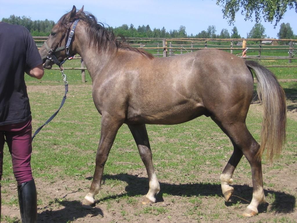 Хутор Сукахярма Мярди Талу