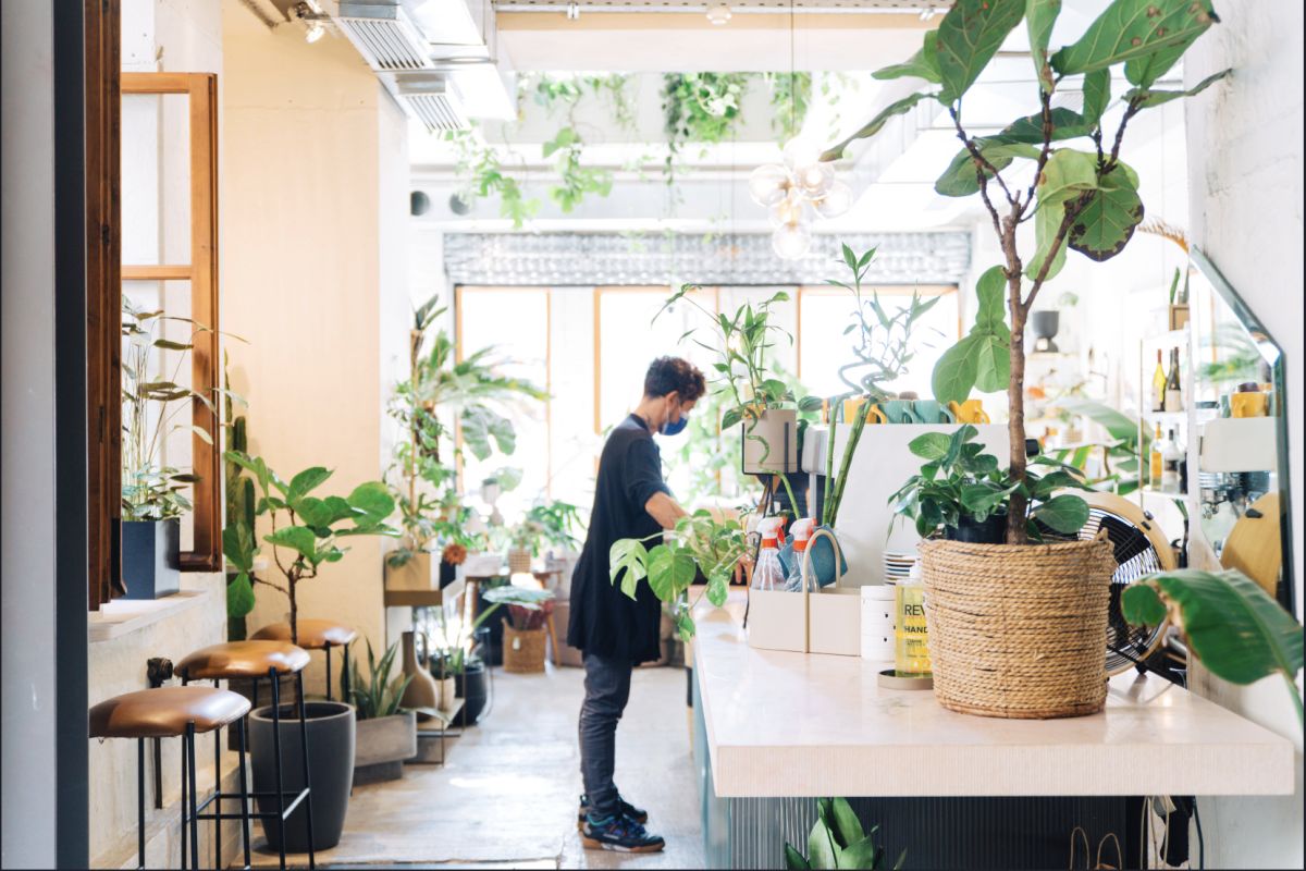 16 классных магазинов греческого дизайна в Афинах