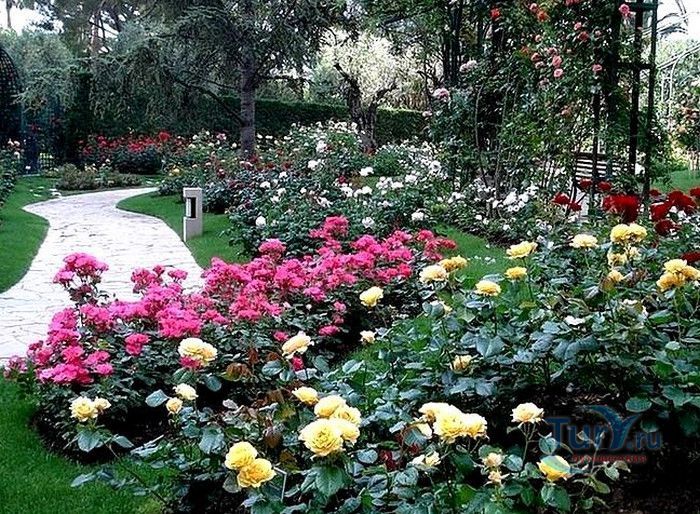 Пейзажный Парк Фонвьей и Розарий Принцессы Грейс