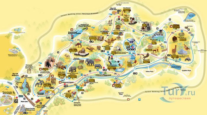 Сеульский Зоопарк