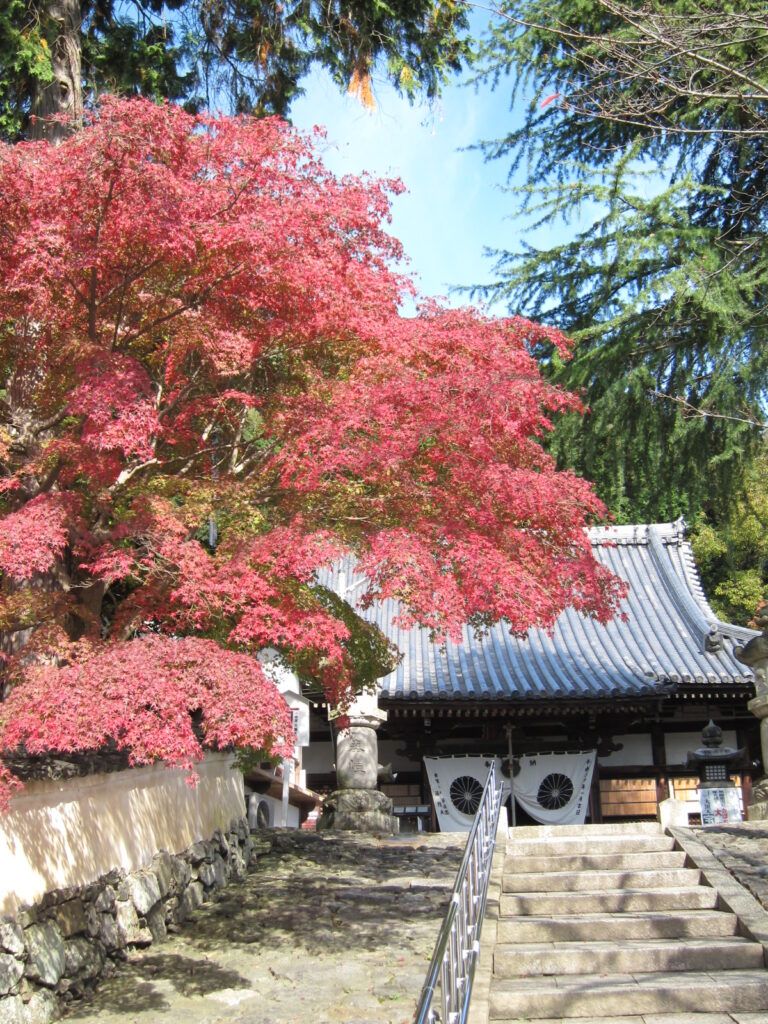 Храм Хосакудзи