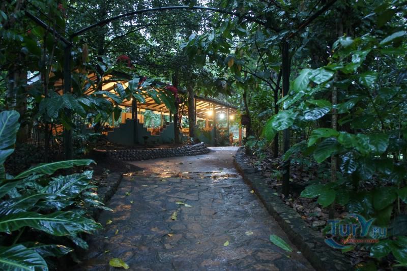 Сад специй Нью Ранвели в Канди