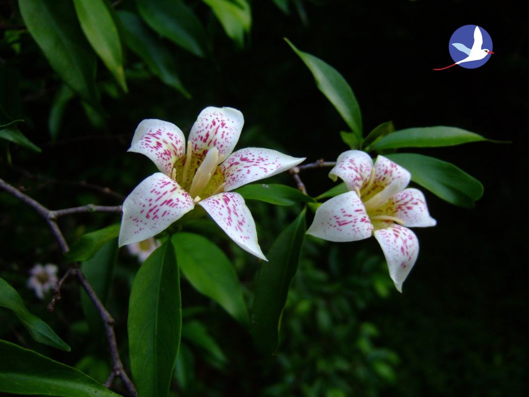 Особый заповедник острова Арид