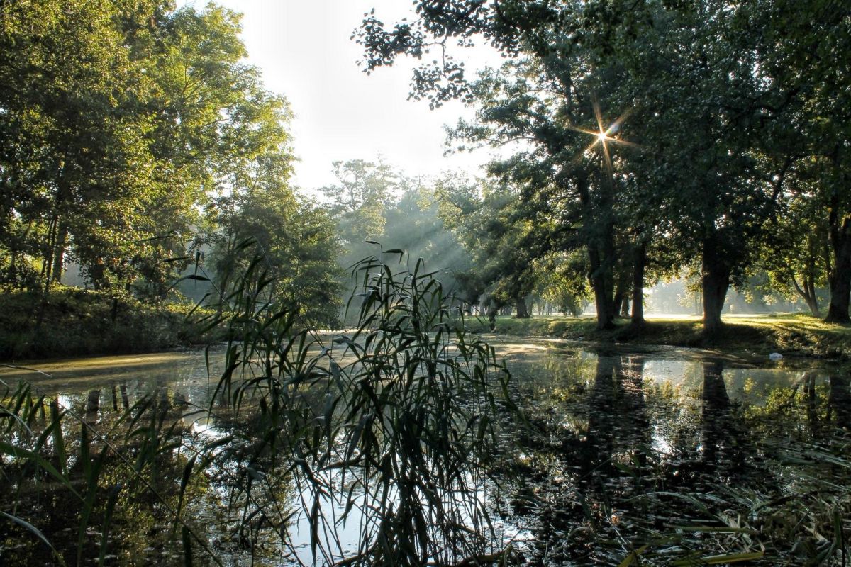 Усадебный парк Ууэмыйза