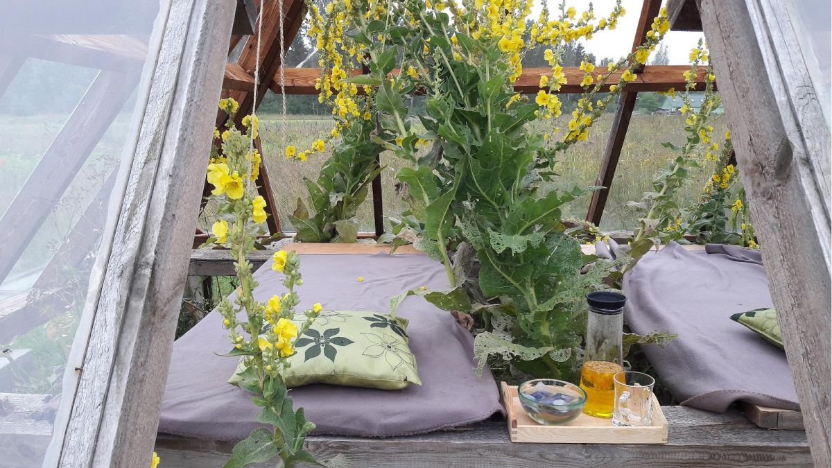 Центр лекарственных растений «Energia»