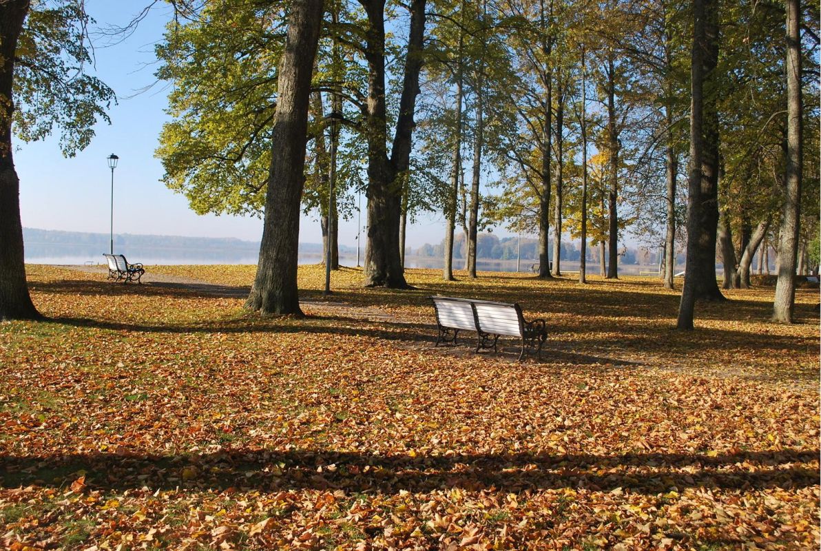 Памятник Фр. Р. Крейцвальду и парк на берегу озера Тамула
