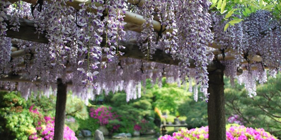 Святилище Чонангу