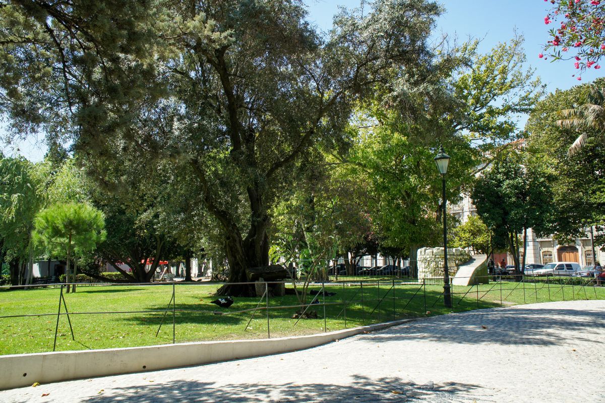 Жардим Браанкамп Фрейре