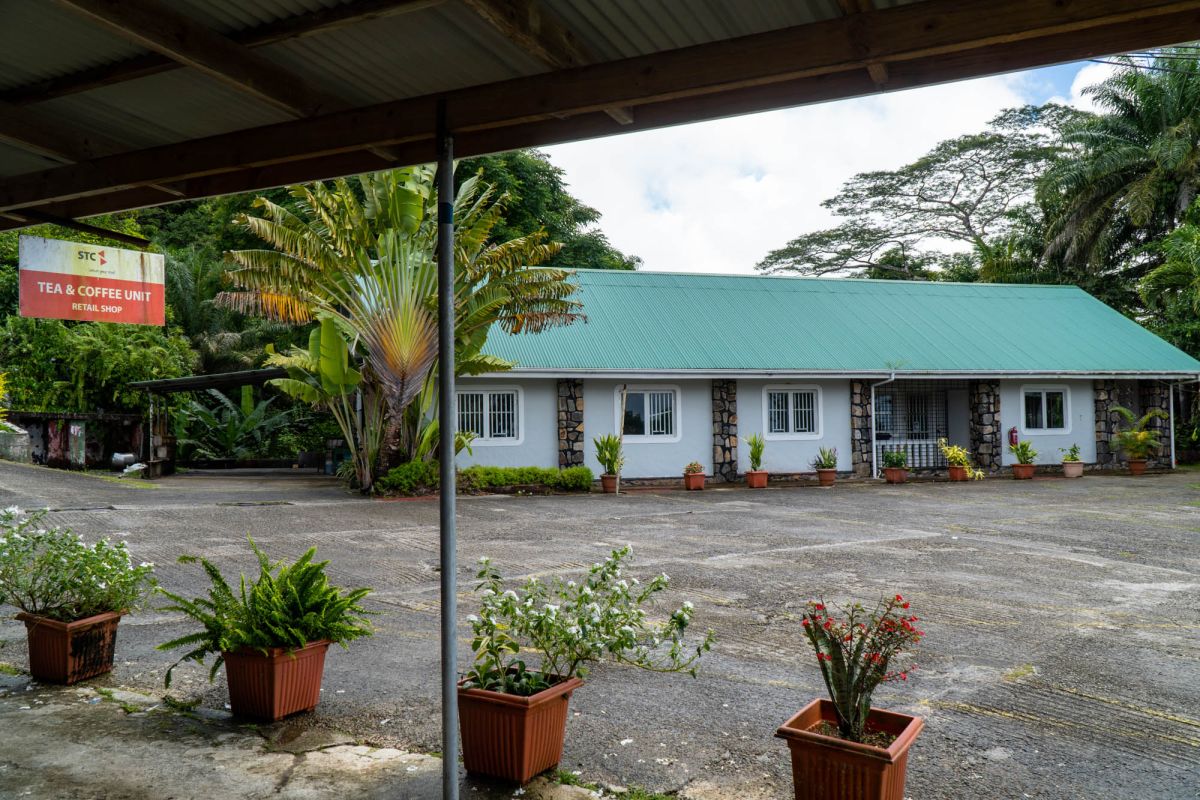 Чайная фабрика