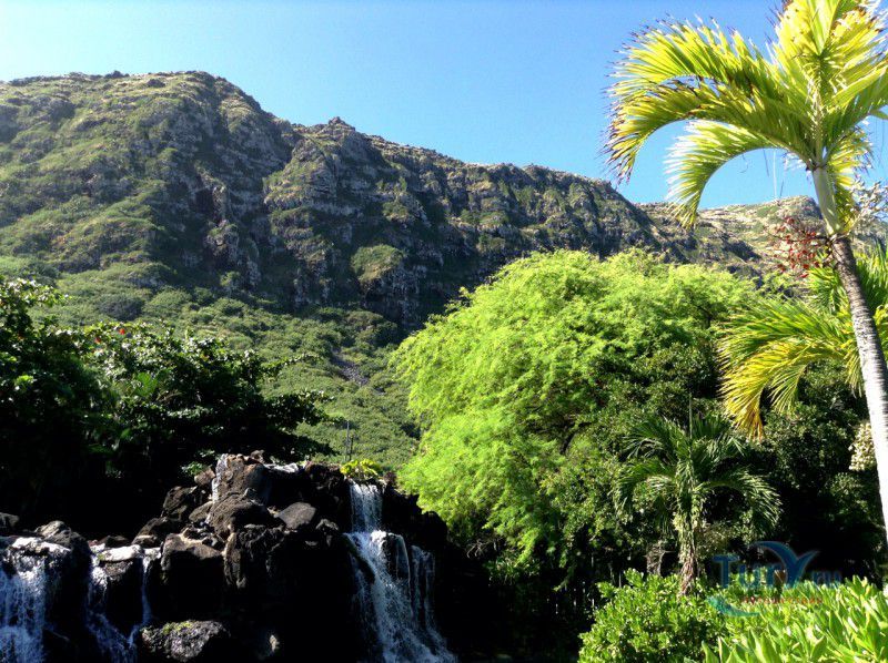 Парк Морской жизни Sea Life Park на о.Оаху