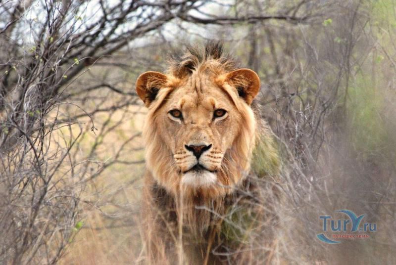 Заповедник Кхутсе