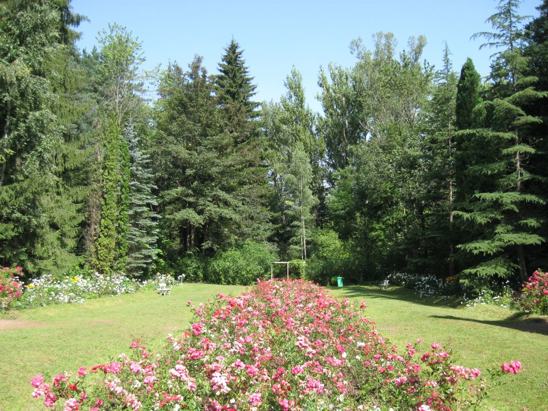 Степанаванский дендропарк Сочут