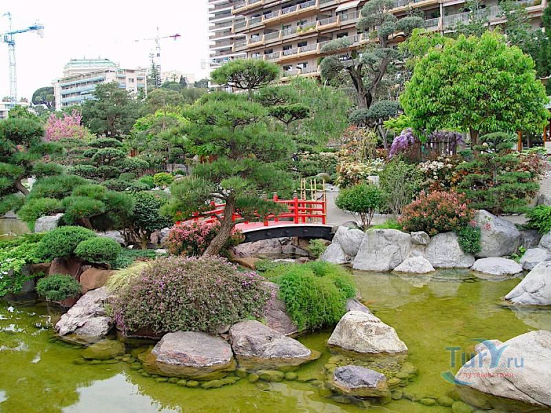 Королевский Японский сад