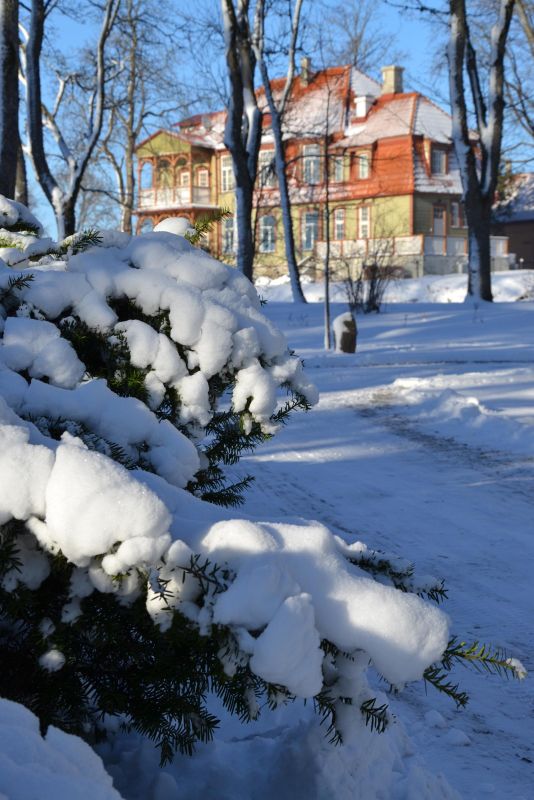 Городской парк Куркссааре