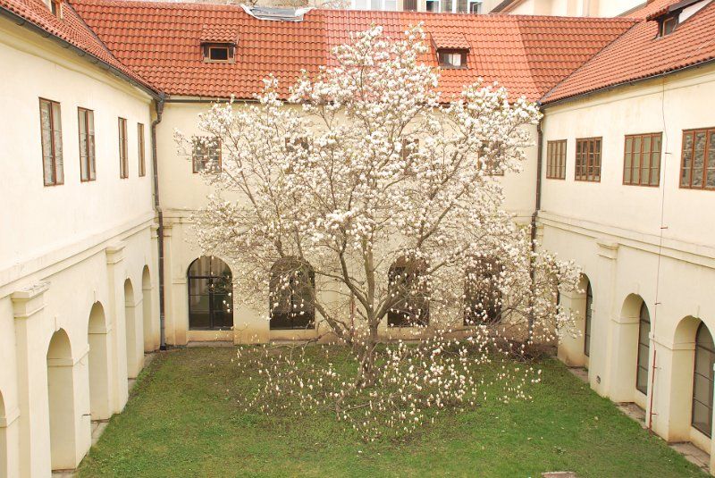 Галерея Ambit